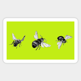 Love them bees Sticker